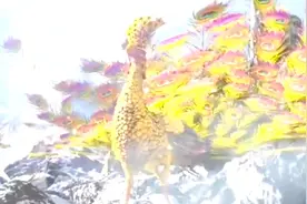 孙悟空成佛后能打过孔雀大明王菩萨吗？视频封面