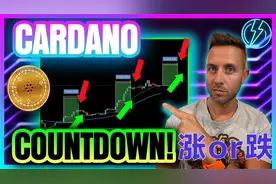 歪果仁的致富经：卡尔达诺高警报！你是否抓住机会了？