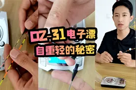 DZ31电子夜光漂自重轻的秘密视频封面