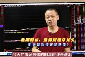 盐湖股份，债务重组后涅槃重生，明天是涨还是跌？@西瓜视频