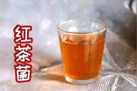 制作简单的红茶菌，酸酸甜甜，解渴解暑，还能增加食欲，养胃护胃视频封面