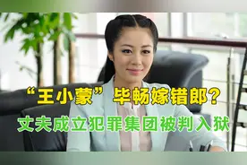 “王小蒙”毕畅嫁错郎？丈夫成立犯罪集团被判入狱14年，独养俩娃