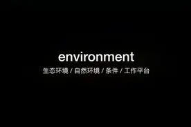 3000个常用英语单词environment