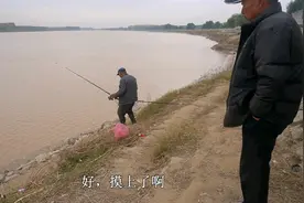 大爷黄河钓鱼，钓到大鲤鱼抄网被拽断，黄河鲤鱼能卖30一斤，贵吗视频封面