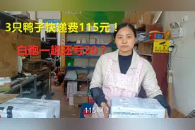 给城里粉丝寄农村土鸭，3只鸭子快递费115元，白跑一趟还亏20视频封面