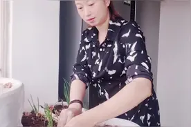 阳台盆栽种植小葱方法简单，半月就可以长出绿油油的香葱视频封面