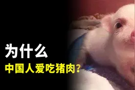 为什么中国人这么喜欢吃猪肉？不仅因为它好吃又好养