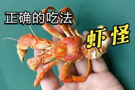 虾怪也叫寄居蟹，正确的吃法应该是这样的