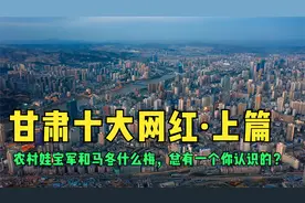 甘肃十大网红！农村娃宝军和马冬什么梅，你认识几个？谁是第一视频封面