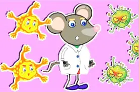 小老鼠做实验清理肠胃里面的细菌视频封面