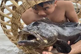 越南生存兄弟，制作陷阱收获两条野生龙趸，市场价值200多一斤视频封面