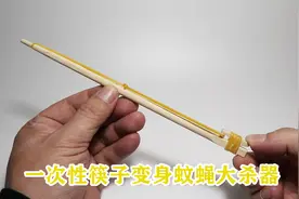 创意制作：一次性筷子变身蚊蝇大杀器，会不会勾起你的童年记忆？