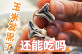 玉米黑了还能吃吗？小夫妻在墨西哥尝试玉米蘑菇