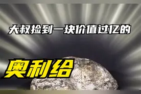 大叔在海边捡到神秘石头，非说是价值过亿的奥利给，当块宝贝收藏视频封面