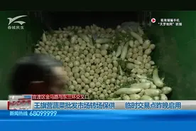 官渡区金马路与东三环交叉口丨昆明市临时蔬菜批发交易点启用视频封面