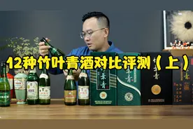 12种竹叶青酒对比评测（上），一波说酒分享竹叶青酒知识视频封面