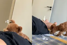 狗狗躺男子屁股上睡觉，结果男子放臭屁，狗：几十岁的人还拉裤子