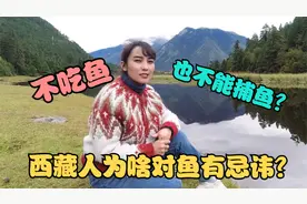 西藏湖里有很多鱼，为啥藏族人不吃鱼？藏族姑娘说捕鱼钓鱼都忌讳视频封面