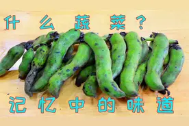 狗儿豆四川人最爱吃，味道鲜香好吃又下饭，很多人还见都没见过