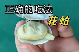 花蛤的这些部位最好别吃，正确的吃法应该是这样的