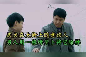 恶犬随意伤人，主人还蛮不讲理，男人用一根烤萝卜便将恶犬除掉视频封面