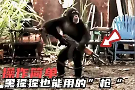 最简单粗暴的枪，连动物都能使用，每把造价不超过一个“汉堡”视频封面