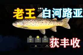 俄钓4：老王白河路亚获丰收，很开心