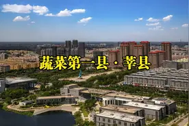 第65集|山东莘县，蔬菜第一县，能否重夺聊城第一县地位？视频封面