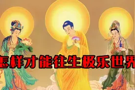 怎样才能往生极乐世界 #念佛 #佛教文化 #禅悟人生