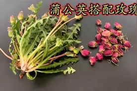 玫瑰花搭配蒲公英！
