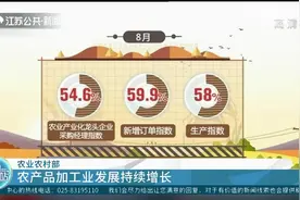 我国乡村产业发展稳中向好，农产品加工业发展持续增长视频封面