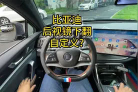 比亚迪后视镜下翻的角度，竟然可以自定义？视频封面
