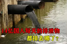 14亿人每天排泄200万吨屎尿，都排放到哪了？会如何处理它们？视频封面