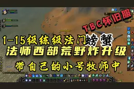 魔兽世界怀旧服：用法师带小号快速升级，西部荒野炸螃蟹