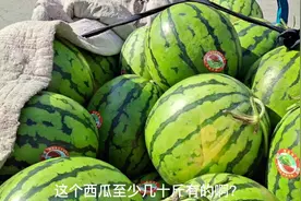 医院门口三轮车西瓜这样，大爷说几户人家一起买才好，大家见过吗视频封面