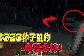 我的世界：关于2323种子里的，那个奇怪实体！