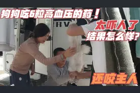 车友狗狗偷吃6粒高血压药，太吓人了，还咬伤主人，结果怎么样？视频封面