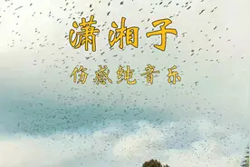 潇湘子伤感纯音乐，婉转凄美，触动心灵，舒缓悠扬，令人沉醉其中