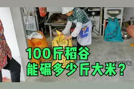 来看农村碾米全过程，到底100斤稻谷能碾多少斤大米？您知道吗？视频封面