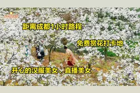 3月14日彭州市梨花园，梨花雪中汉服美女、直播美女的笑脸更美。视频封面