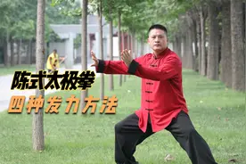 陈式太极拳发力方法大全，学会了就能打遍天下无敌手视频封面