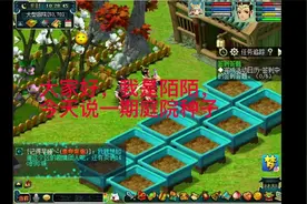 梦幻西游：庭院种子攻略！