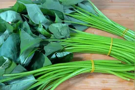 红薯叶这做法太香了，不想放筷子，把它调成饺子馅，想不到的好吃