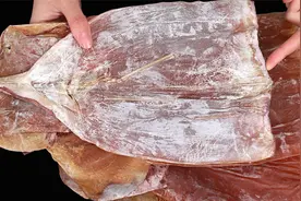 鱿鱼干，很多人爱吃不会买，干货店老板教我，买的鱿鱼干皮厚肉多视频封面