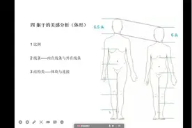 人体的比例美
