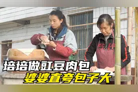 农村媳妇为婆婆蒸包子，锅盖一掀婆婆直夸包子大，培培心里乐开花视频封面