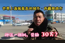 实拍海拔4500米的西藏那曲市，与其他城市有何不同，为何没有高楼