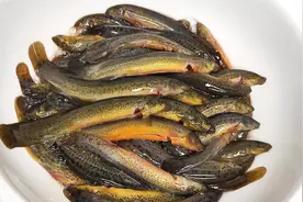 在家做泥鳅时，切记不要放盐和料酒，教你一招，土腥味去无踪视频封面