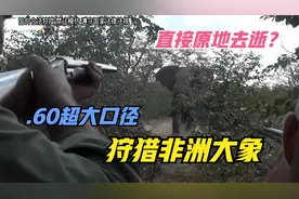 用.60超大口径狩猎非洲大象，直接当场倒地不起视频封面