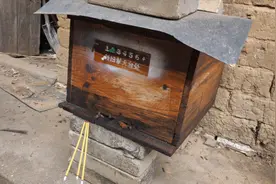 养蜜蜂为什么要在门口插香，有什么窍门，你知道吗视频封面